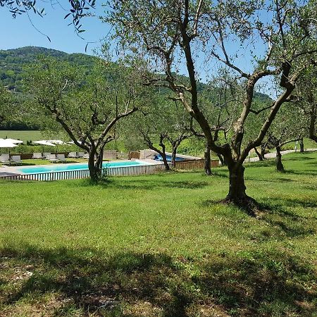 Il Vecchio Gelso - Agriturismo Rimini Montefiore Conca Villa ภายนอก รูปภาพ