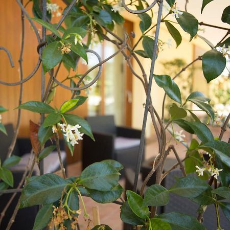 Il Vecchio Gelso - Agriturismo Rimini Montefiore Conca Villa ภายนอก รูปภาพ