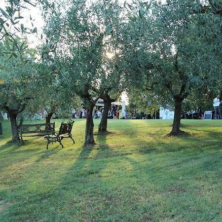 Il Vecchio Gelso - Agriturismo Rimini Montefiore Conca Villa ภายนอก รูปภาพ