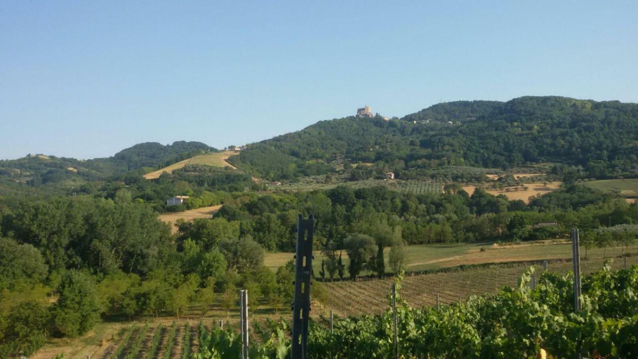 Il Vecchio Gelso - Agriturismo Rimini Montefiore Conca Villa ภายนอก รูปภาพ
