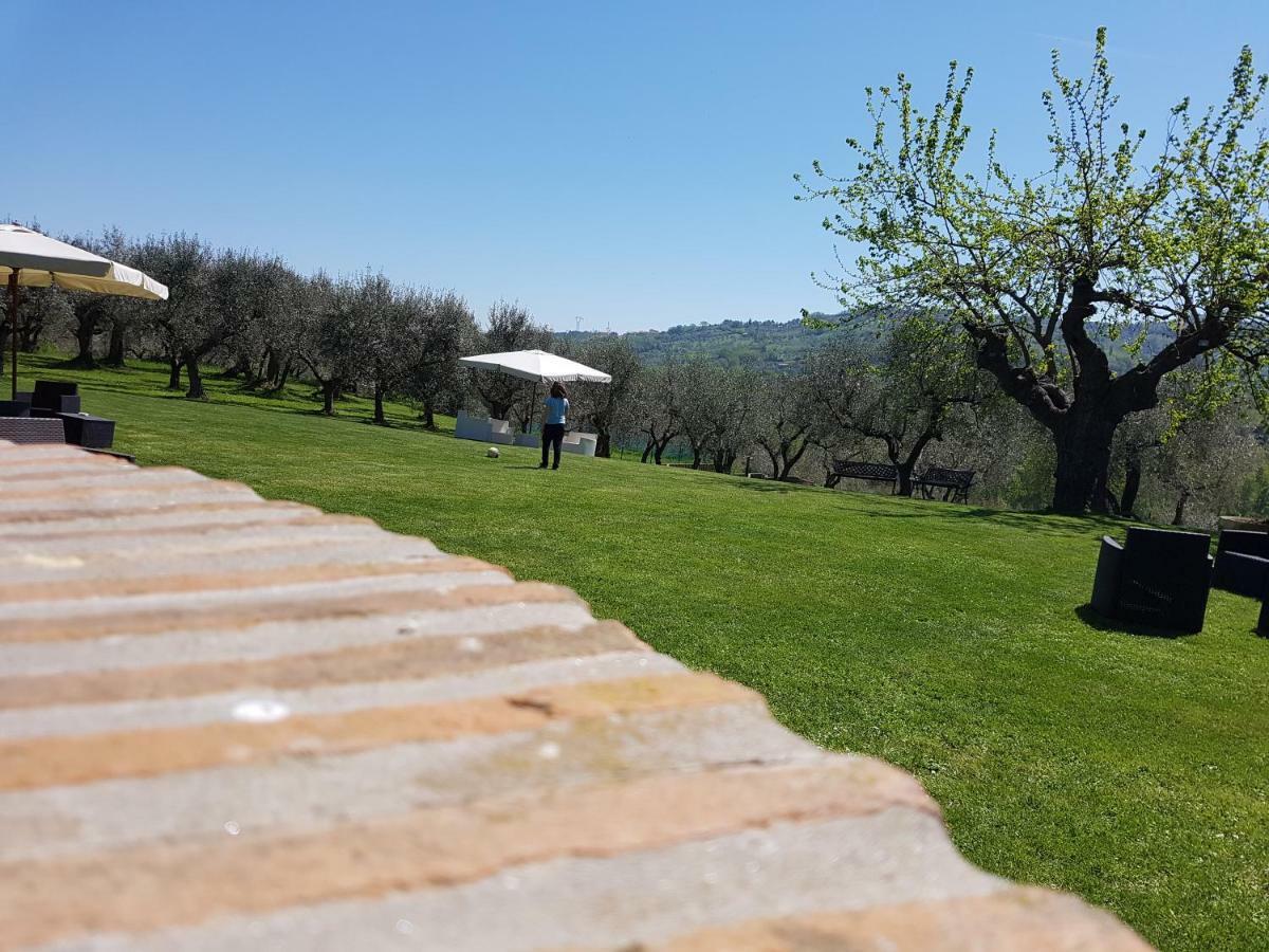 Il Vecchio Gelso - Agriturismo Rimini Montefiore Conca Villa ภายนอก รูปภาพ