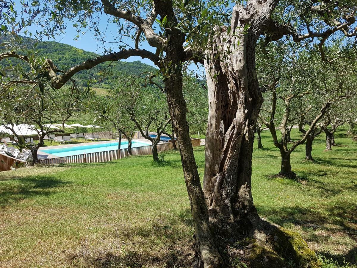 Il Vecchio Gelso - Agriturismo Rimini Montefiore Conca Villa ภายนอก รูปภาพ