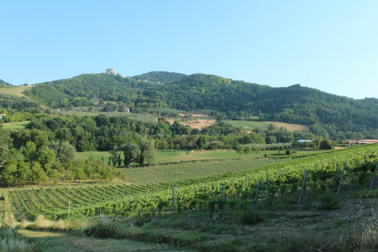 Il Vecchio Gelso - Agriturismo Rimini Montefiore Conca Villa ภายนอก รูปภาพ