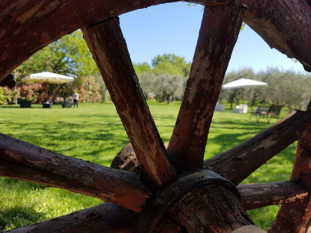 Il Vecchio Gelso - Agriturismo Rimini Montefiore Conca Villa ภายนอก รูปภาพ