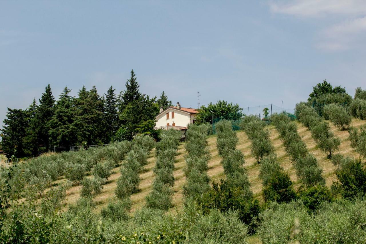 Il Vecchio Gelso - Agriturismo Rimini Montefiore Conca Villa ภายนอก รูปภาพ