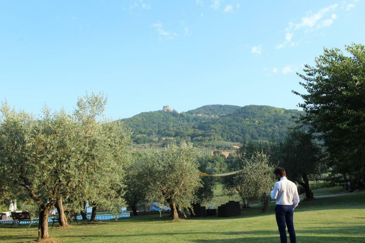 Il Vecchio Gelso - Agriturismo Rimini Montefiore Conca Villa ภายนอก รูปภาพ