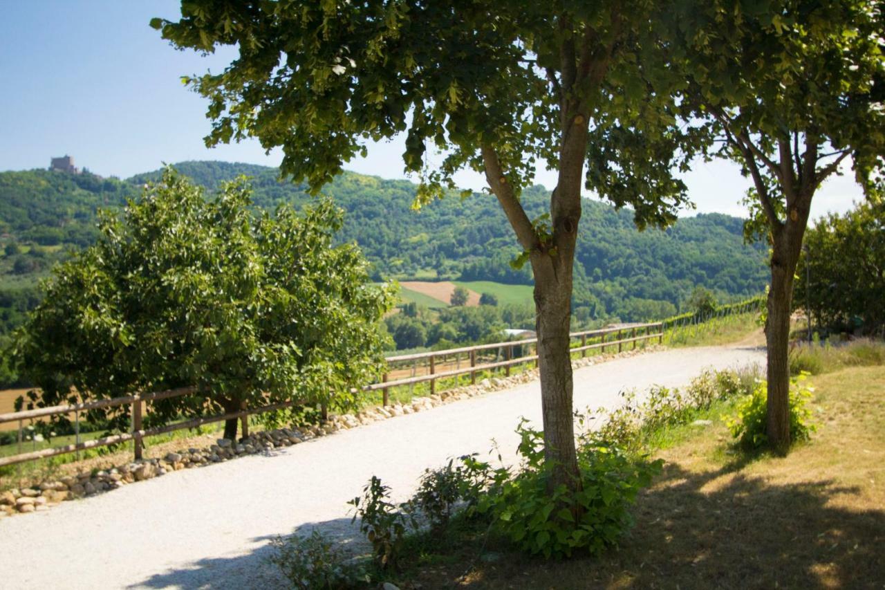 Il Vecchio Gelso - Agriturismo Rimini Montefiore Conca Villa ภายนอก รูปภาพ