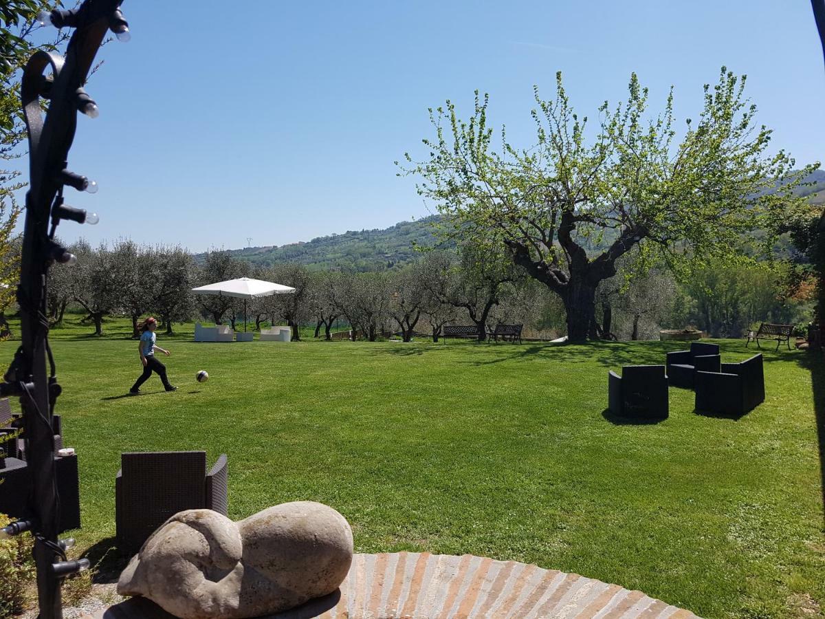 Il Vecchio Gelso - Agriturismo Rimini Montefiore Conca Villa ภายนอก รูปภาพ