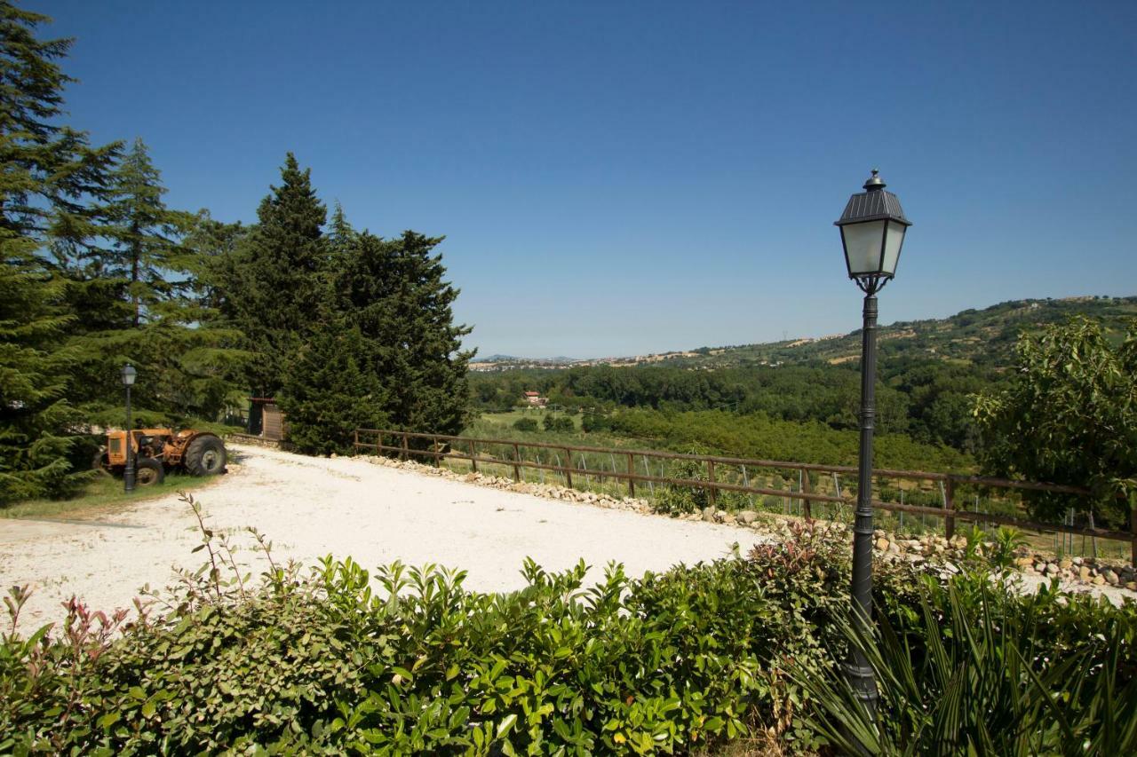 Il Vecchio Gelso - Agriturismo Rimini Montefiore Conca Villa ภายนอก รูปภาพ