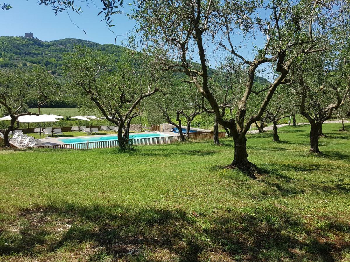 Il Vecchio Gelso - Agriturismo Rimini Montefiore Conca Villa ภายนอก รูปภาพ