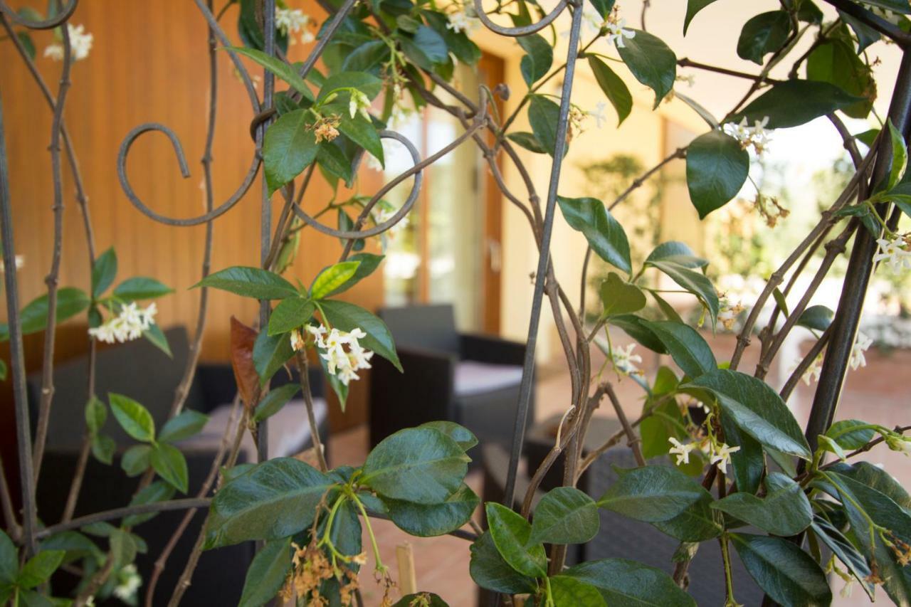 Il Vecchio Gelso - Agriturismo Rimini Montefiore Conca Villa ภายนอก รูปภาพ