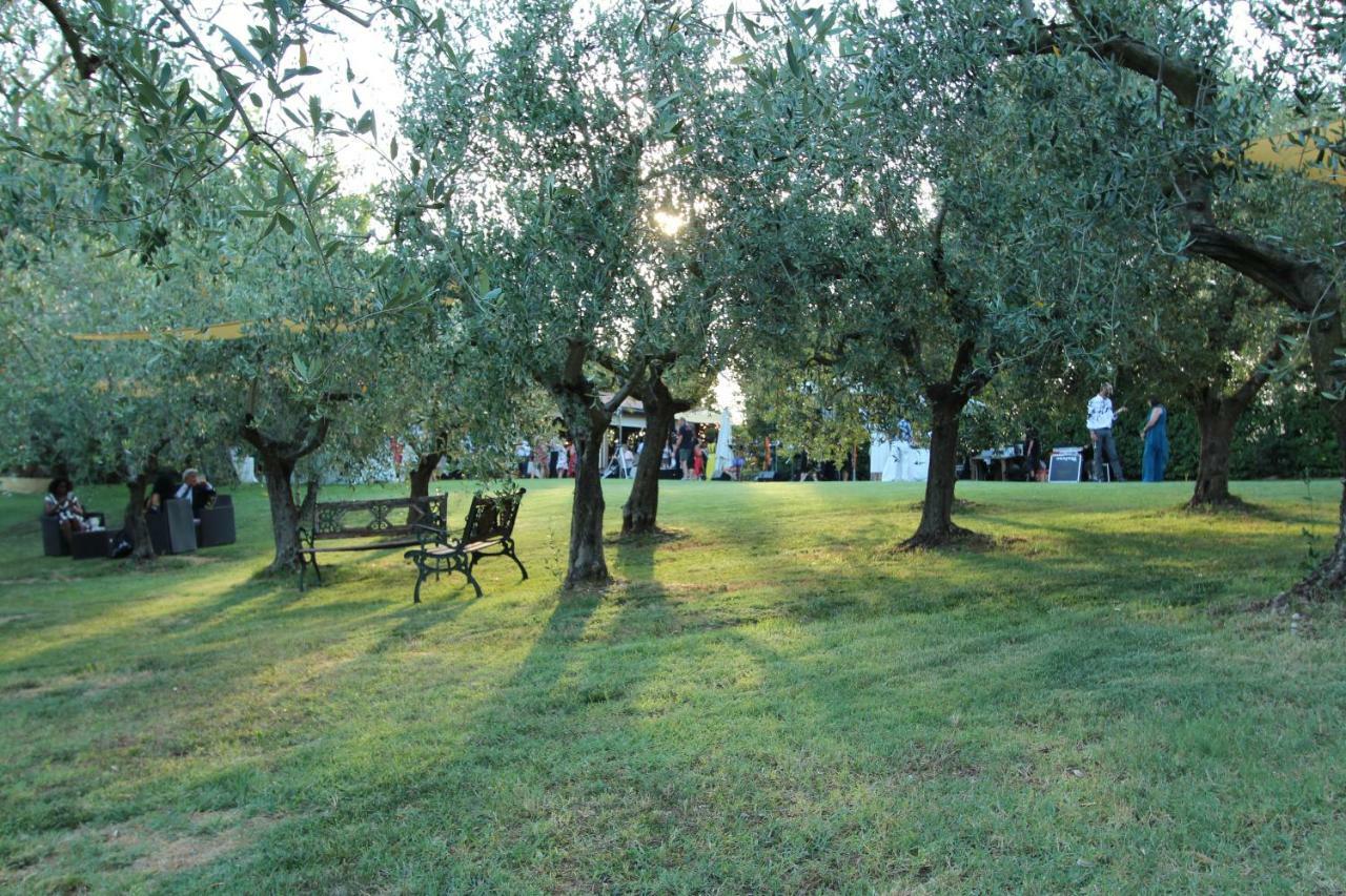Il Vecchio Gelso - Agriturismo Rimini Montefiore Conca Villa ภายนอก รูปภาพ