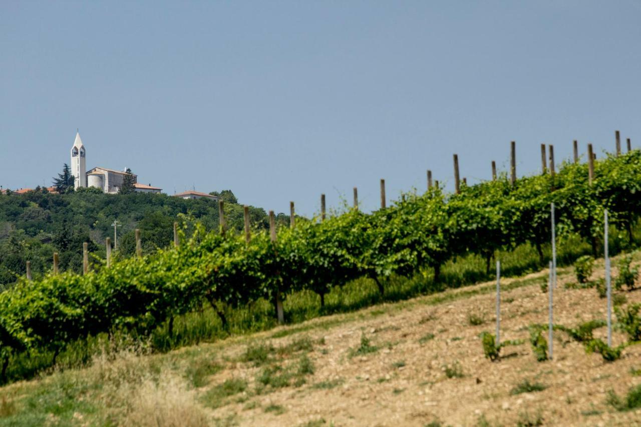 Il Vecchio Gelso - Agriturismo Rimini Montefiore Conca Villa ภายนอก รูปภาพ