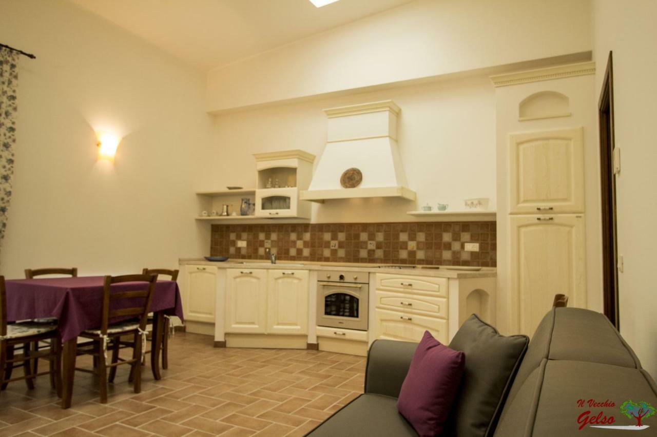 Il Vecchio Gelso - Agriturismo Rimini Montefiore Conca Villa ภายนอก รูปภาพ